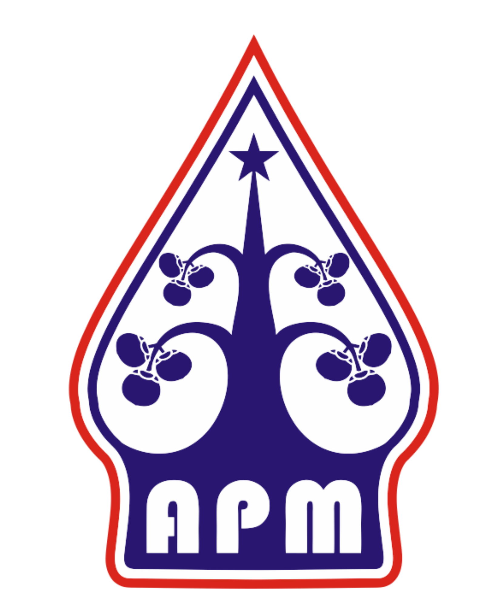 APM Logo