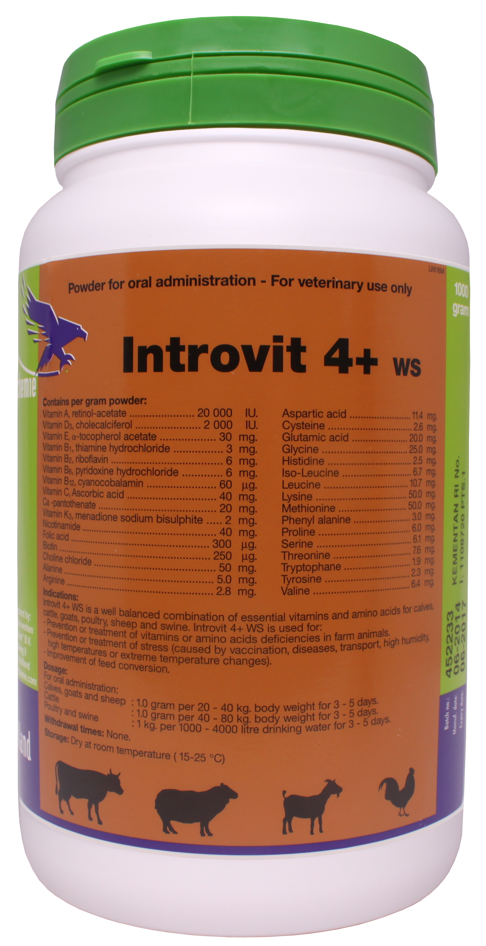 Introvit 4+ WS